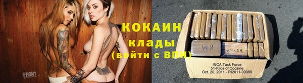 индика Вязьма