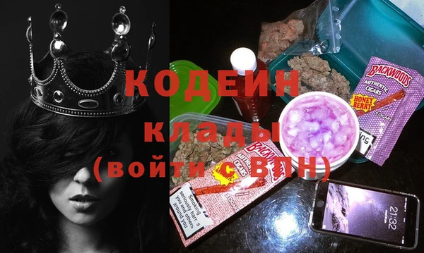 индика Вязьма