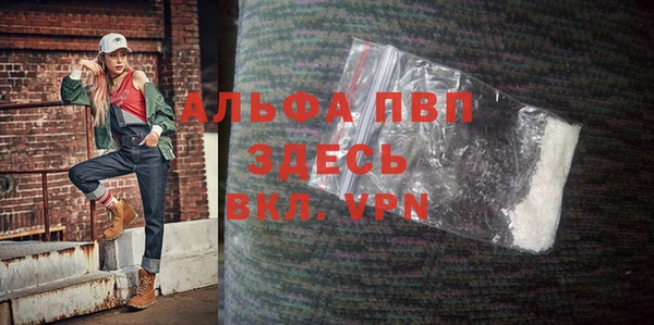 индика Вязьма