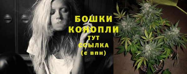 гидра Горно-Алтайск