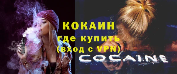 индика Вязьма