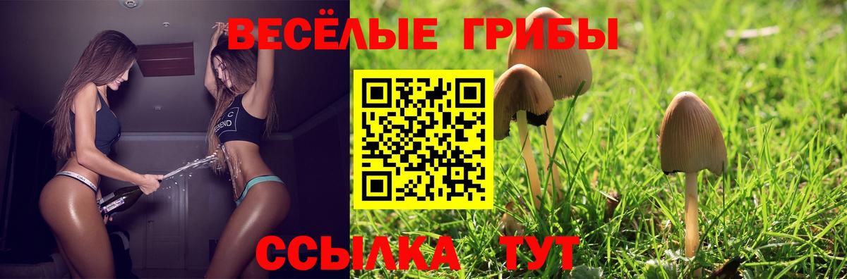 сколько стоит  Вход с VPN  Обь  Галлюциногенные грибы GOLDEN TEACHER 